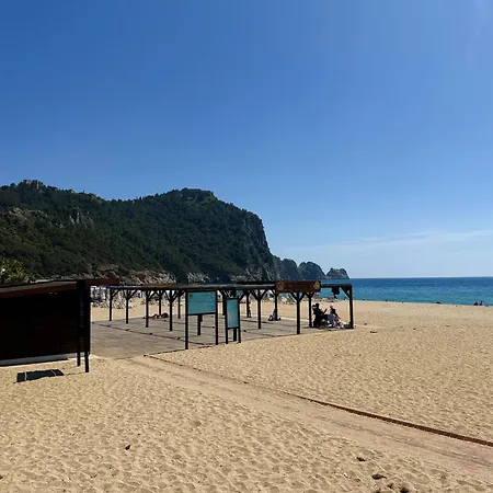 Apartamento Sa Apartments! 150m To The Cleopatra Alanya