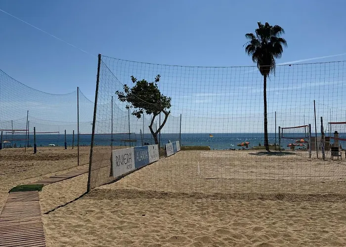 Sa Apartments! 150m To The Cleopatra Appartement *