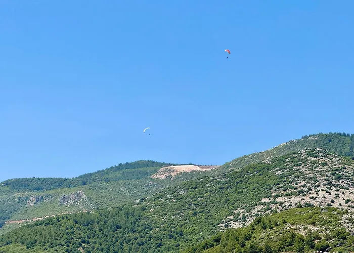 Lägenhet Sa Apartments! 150m To The Cleopatra *